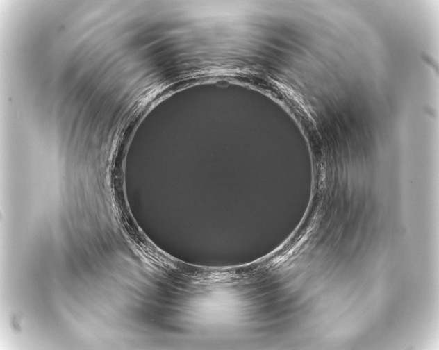 X0000093401161200711020929