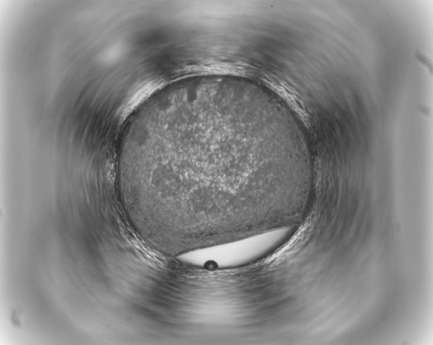 X0000093401163200711020929