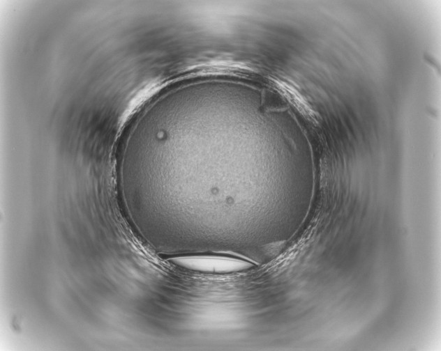 X0000093401164200711020929