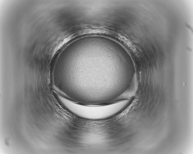 X0000093401165200711020929