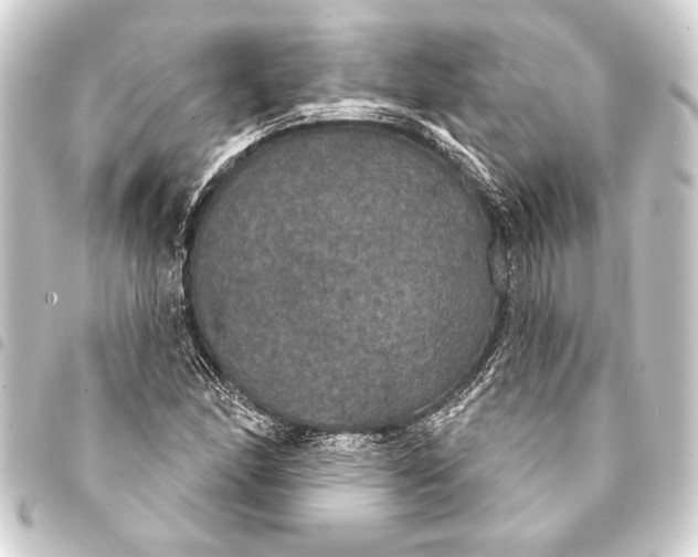 X0000093401166200711020929