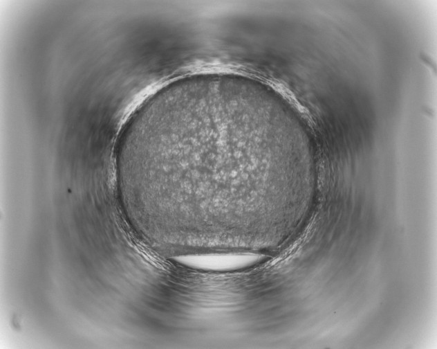 X0000093401167200711020929