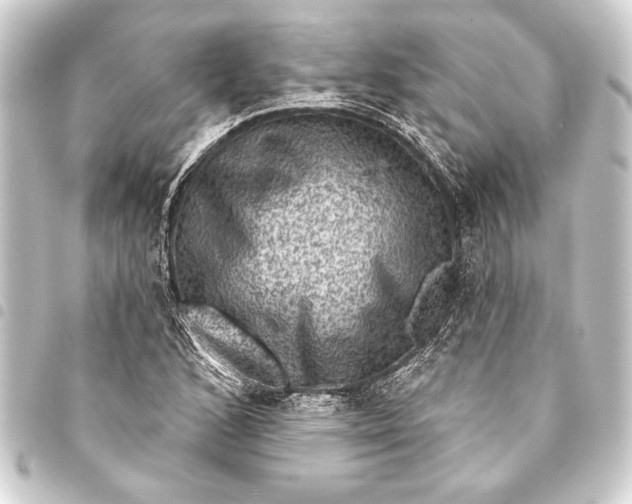 X0000093401168200711020929