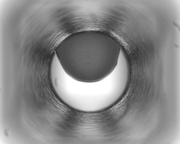 X0000093401169200711020929