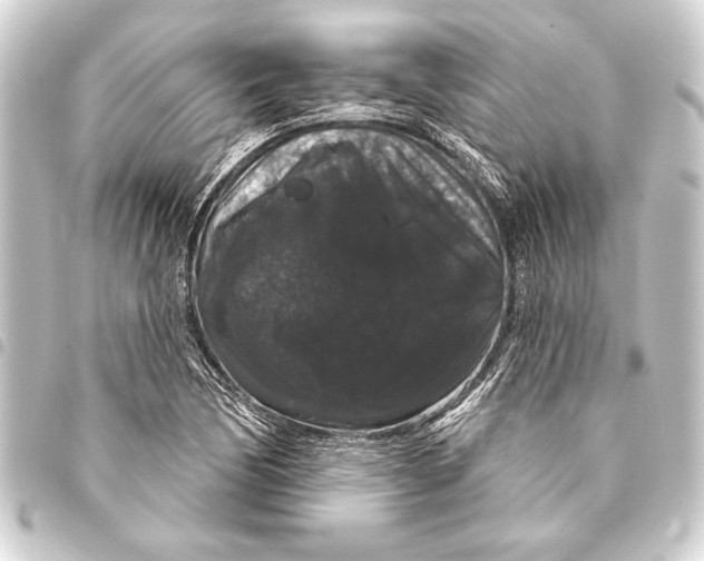 X0000093401170200711020929