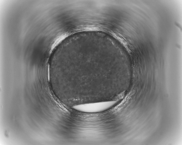 X0000093401171200711020929