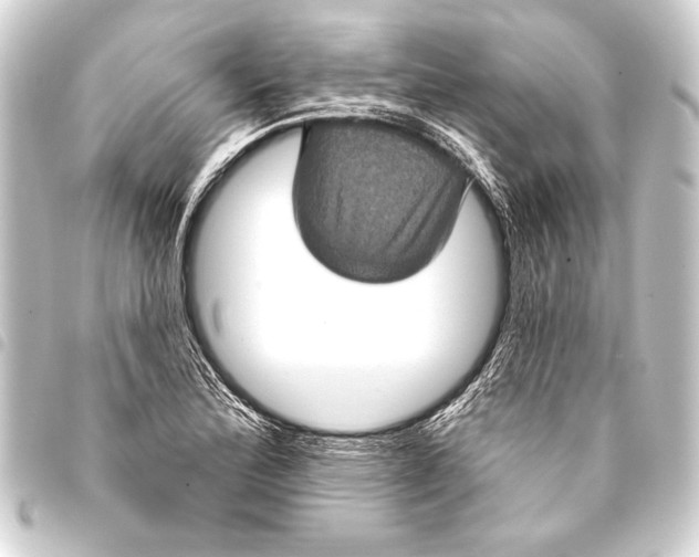 X0000093401172200711020929