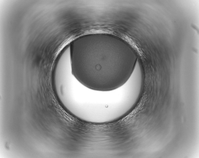 X0000093401173200711020929