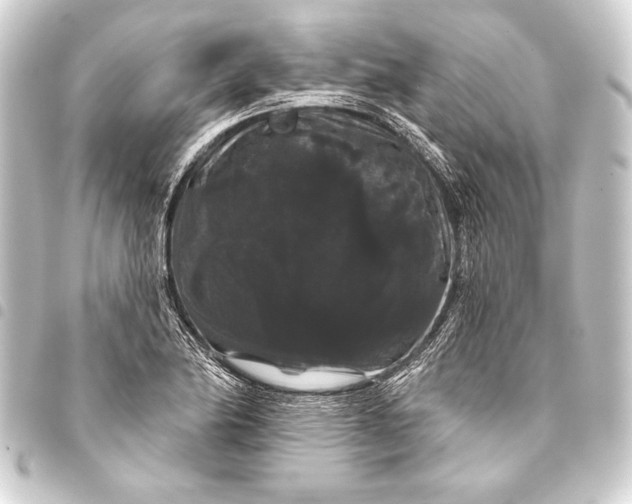 X0000093401174200711020929