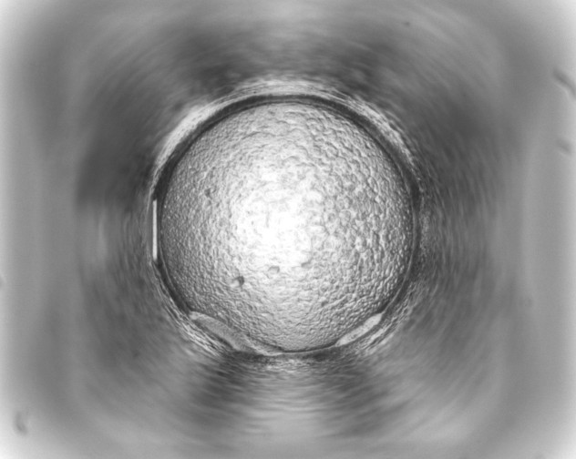 X0000093401175200711020929