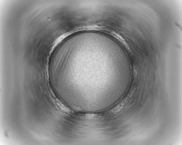 X0000093401176200711020929