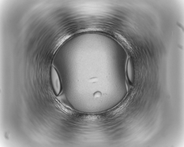 X0000093401177200711020929