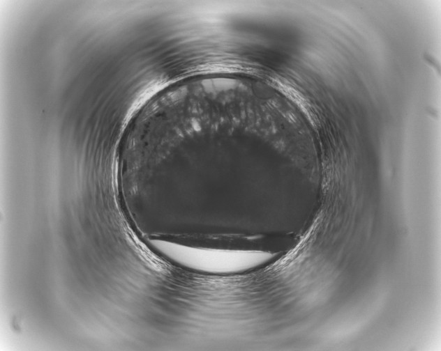 X0000093401179200711020929