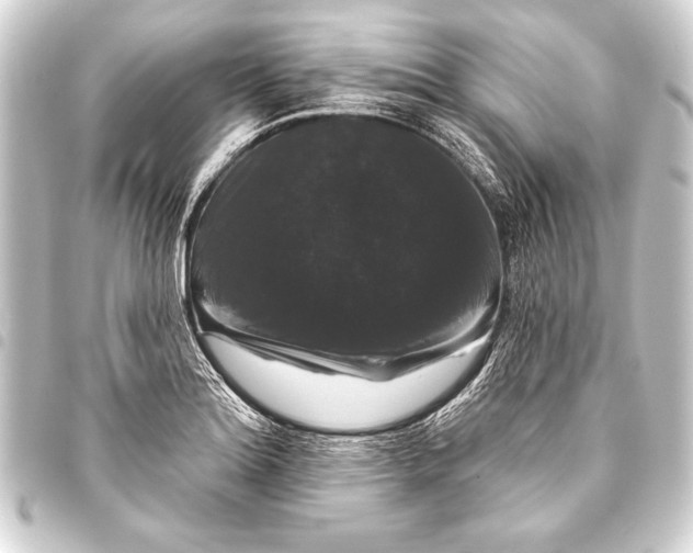 X0000093401180200711020929