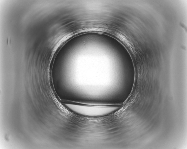 X0000093401181200711020929