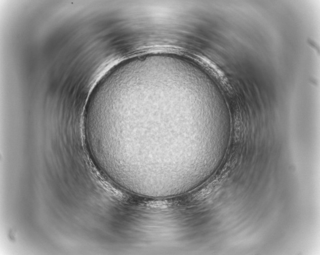 X0000093401182200711020929