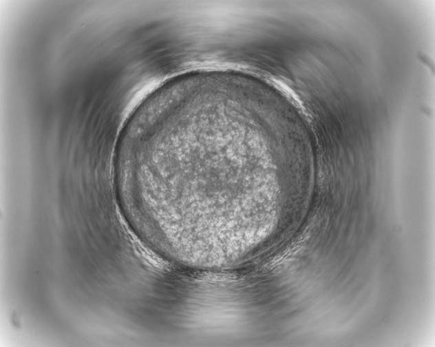 X0000093401183200711020929