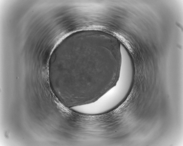 X0000093401184200711020929