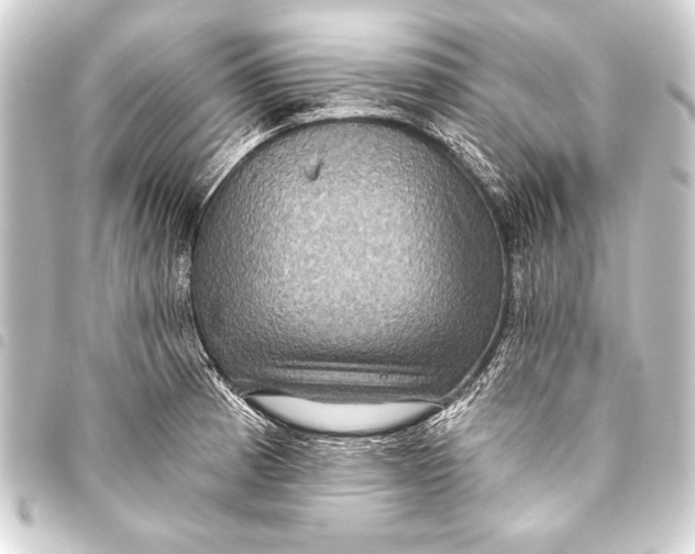 X0000093401185200711020929