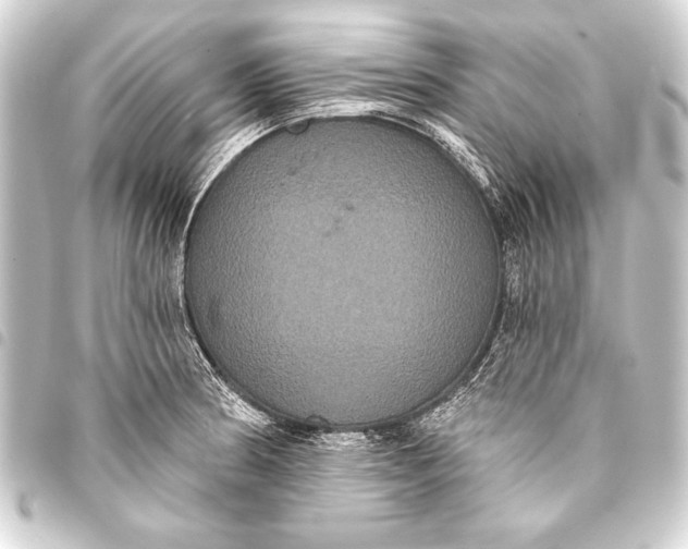 X0000093401186200711020929