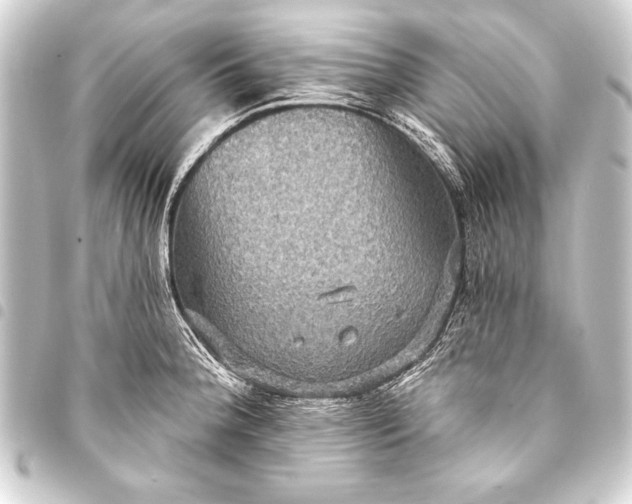 X0000093401188200711020929