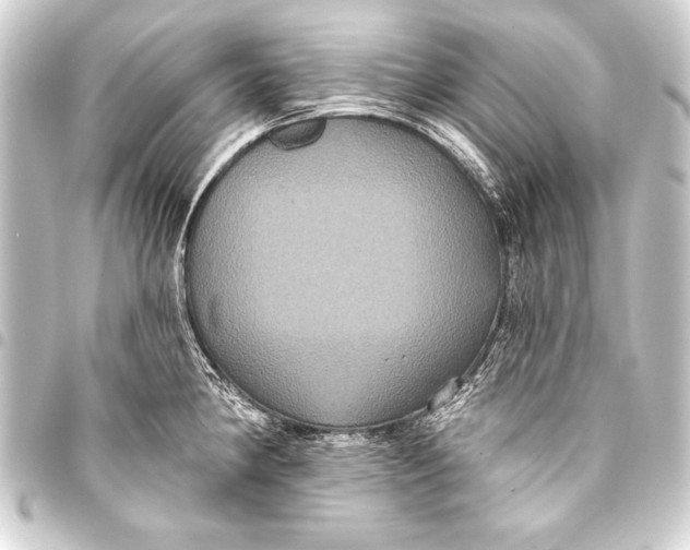 X0000093401190200711020929