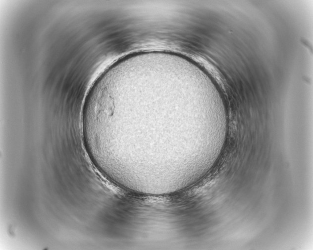 X0000093401191200711020929