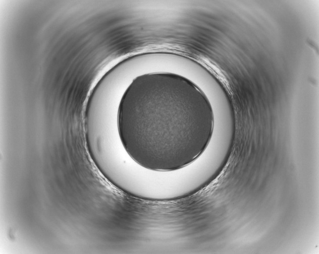 X0000093401192200711020929