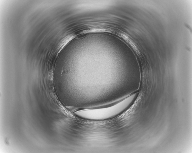 X0000093401193200711020929