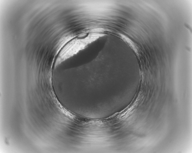 X0000093401194200711020929