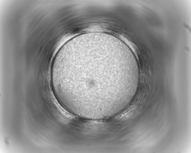 X0000093401195200711020929