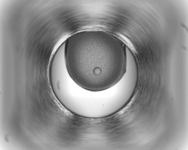 X0000093401196200711020929