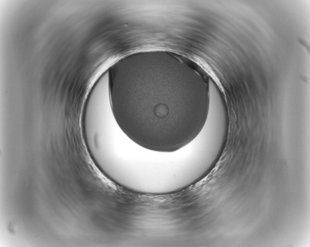 X0000093401197200711020929