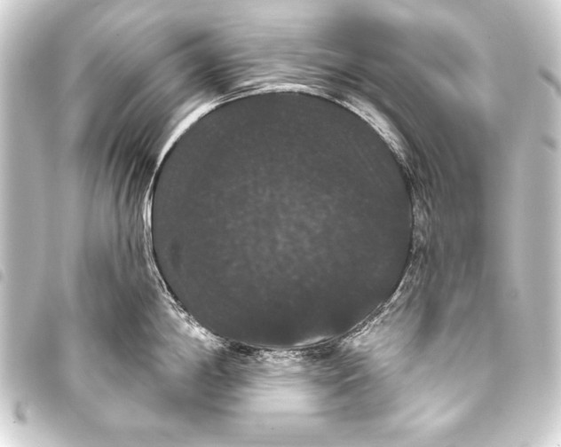 X0000093401198200711020929