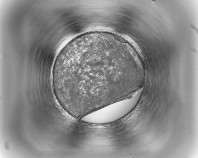 X0000093401199200711020929