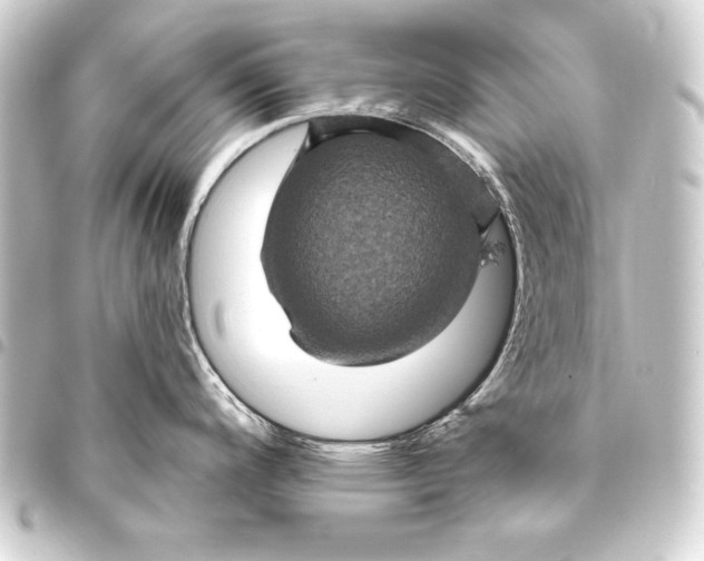 X0000093401200200711020929