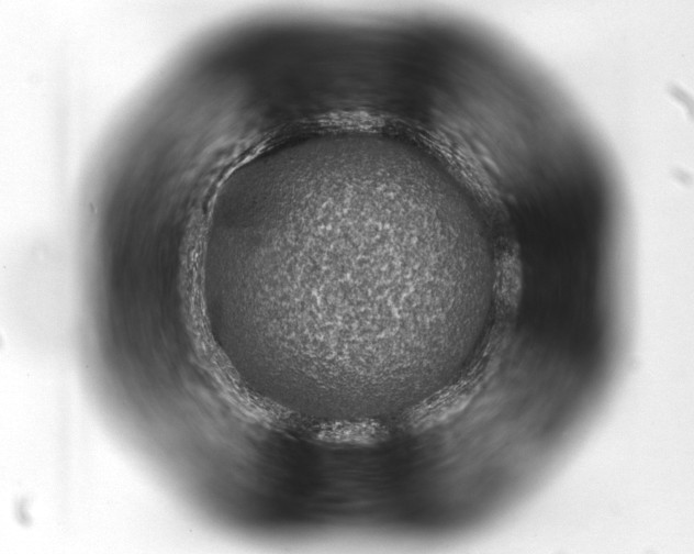 X0000093401201200711020928