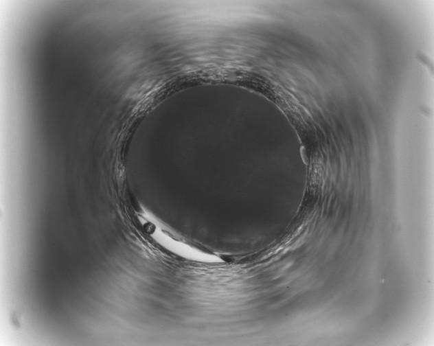 X0000093401202200711020928