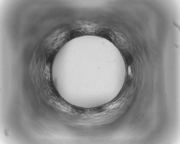 X0000093401203200711020928