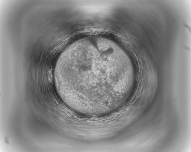 X0000093401204200711020928