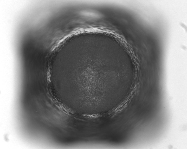 X0000093401205200711020928