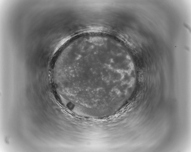 X0000093401208200711020928