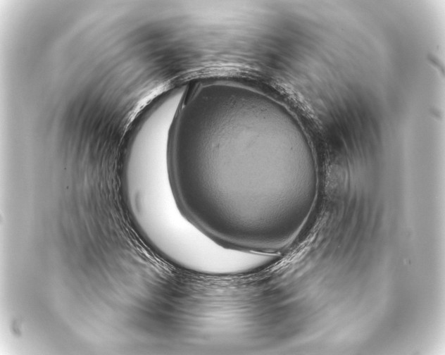 X0000093401210200711020928