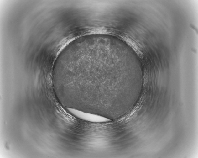 X0000093401212200711020928