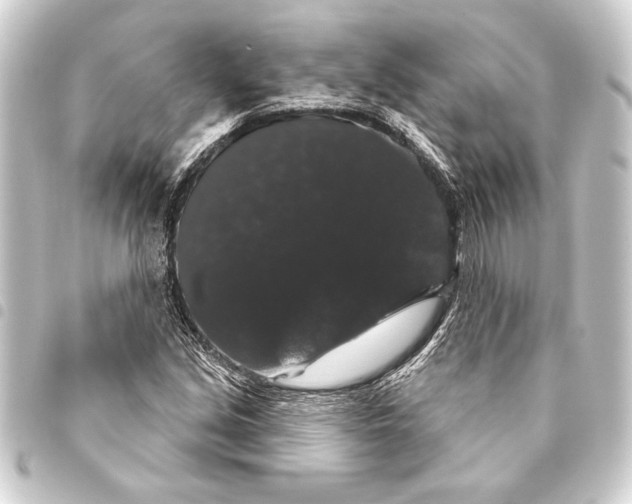 X0000093401213200711020928