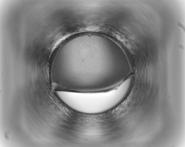 X0000093401214200711020928