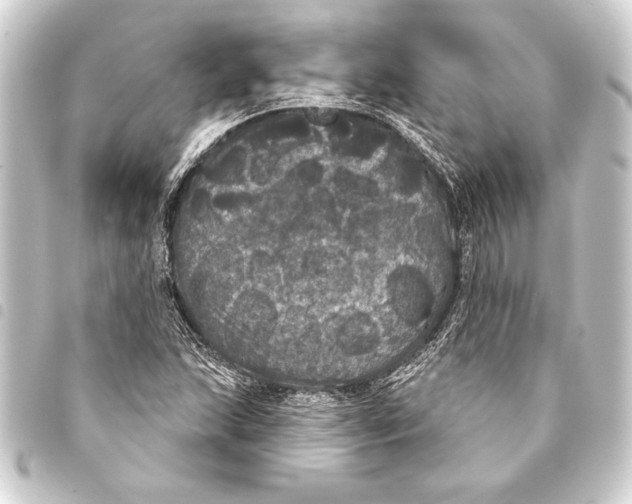 X0000093401215200711020928