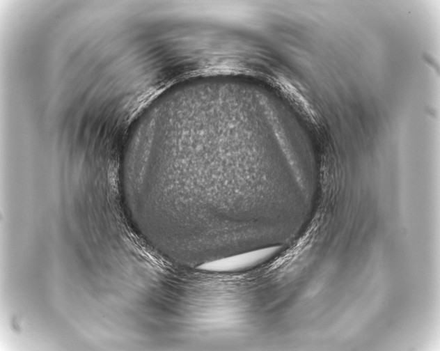 X0000093401217200711020928