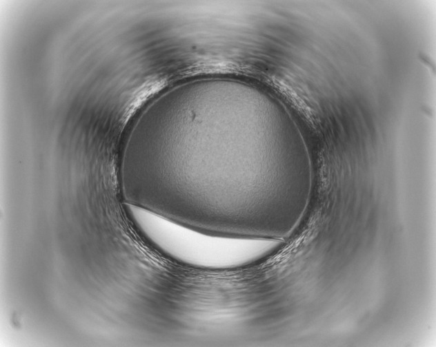 X0000093401218200711020928