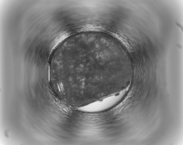 X0000093401219200711020928